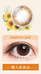 Kukka-Sunflower Gold;Kukka Monthly Color Con;啡色Con;棕色Con;自然啡;透明感;自然棕;氣質棕;日雜激推款;微透雙眸